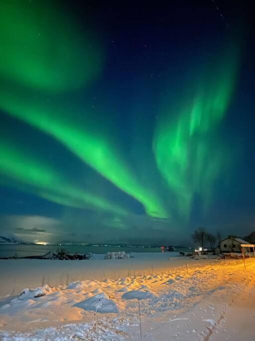 Cozy House - Stronstad @The Start Of Lofoten Stronstad i Vesteralen エクステリア 写真